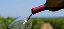 Non-Destructive Red Wine Measurement